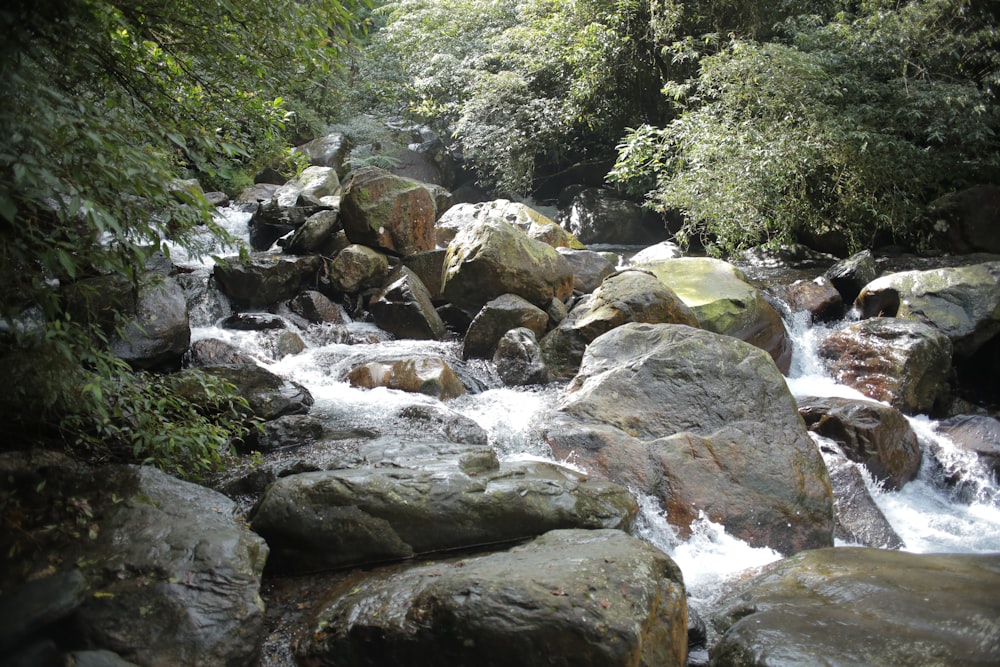 cascading river surrounded by rocks