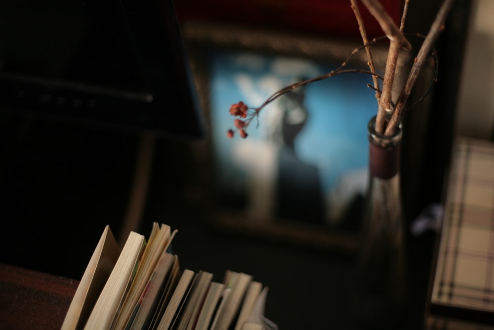 selective focus photography of books near flower