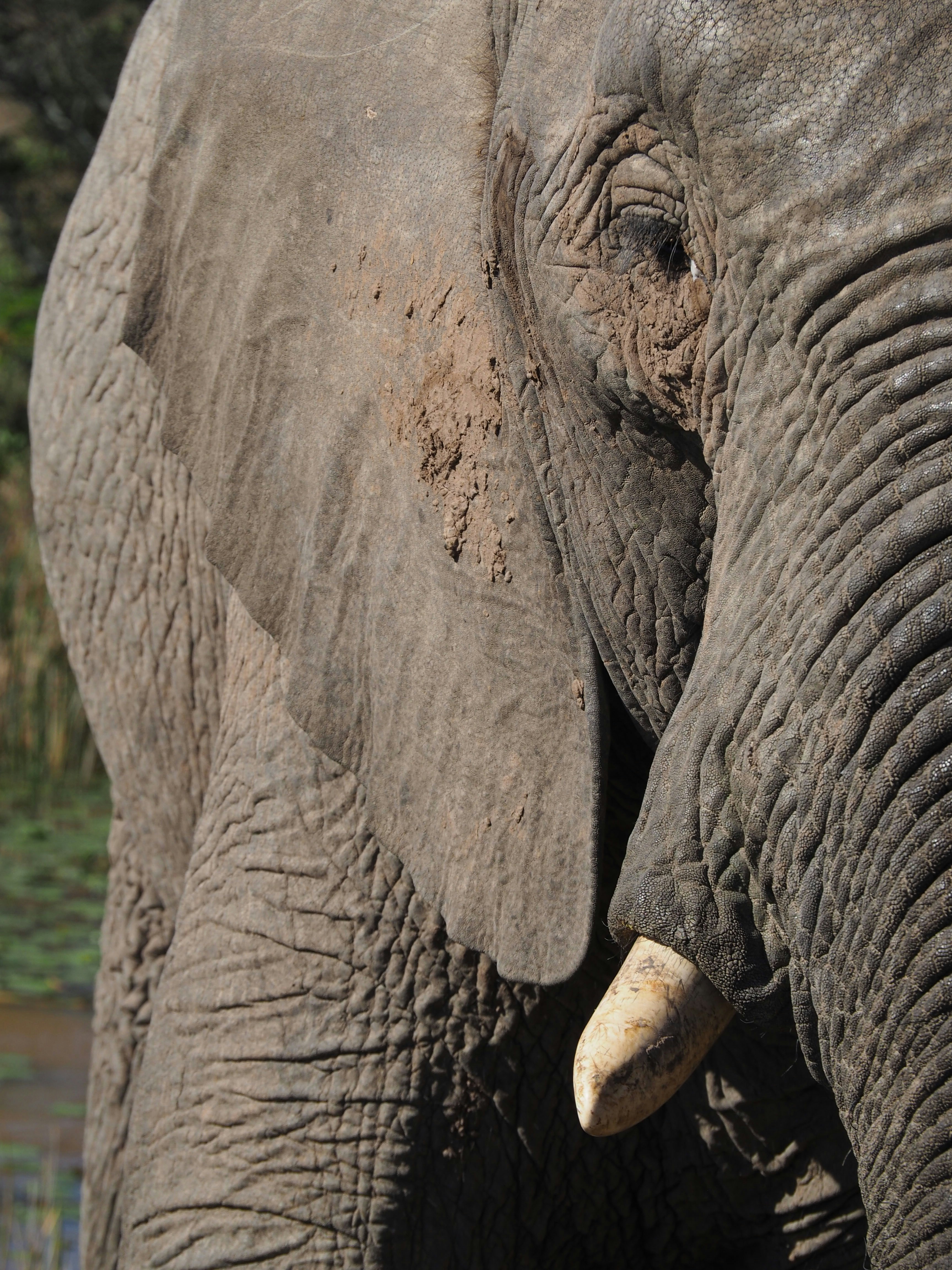 Photo by m_vermeltfoort