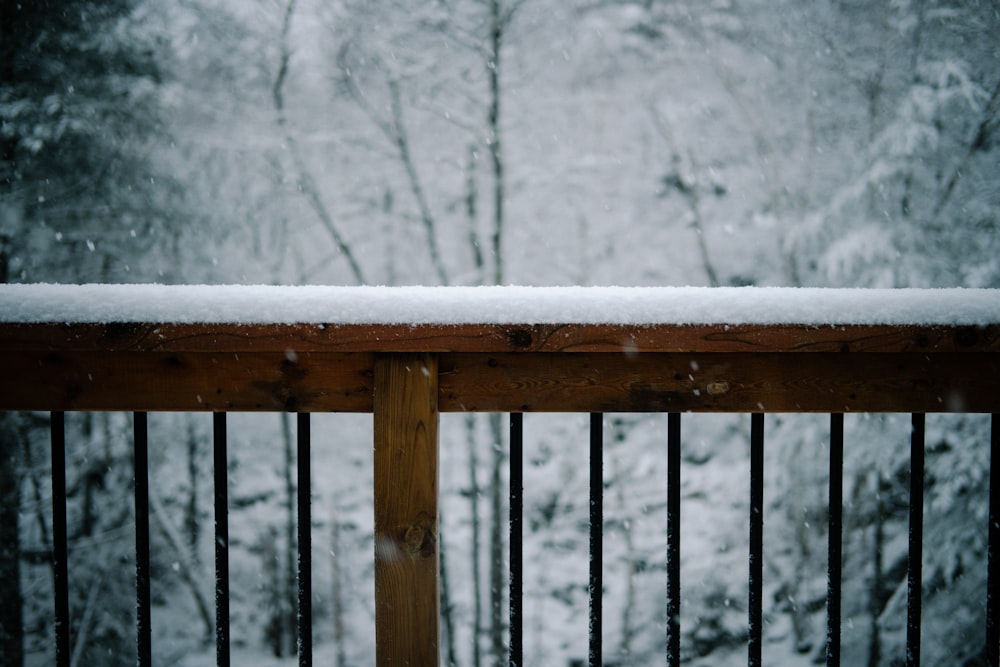 rail covered with snow