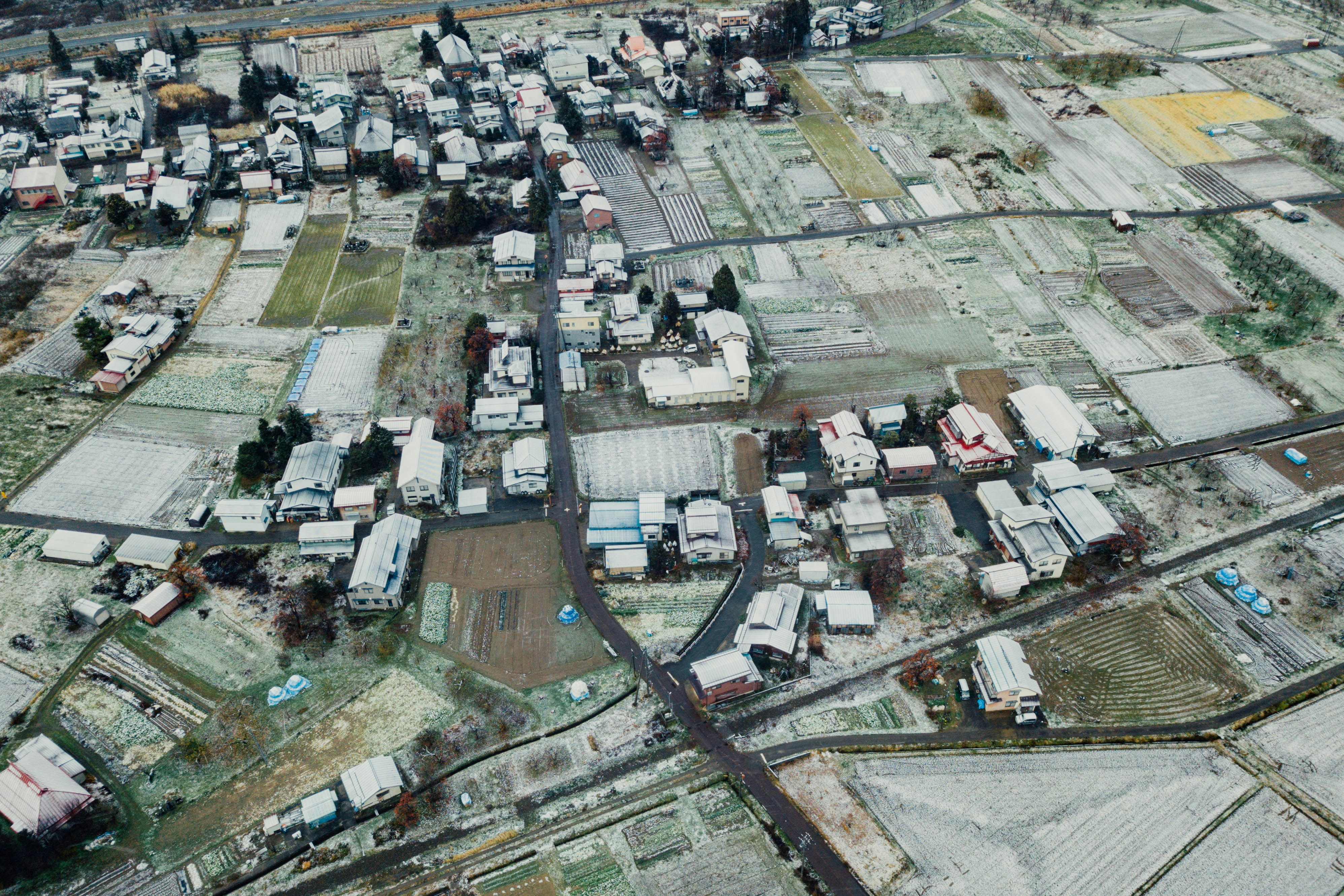 Photo by chuttersnap