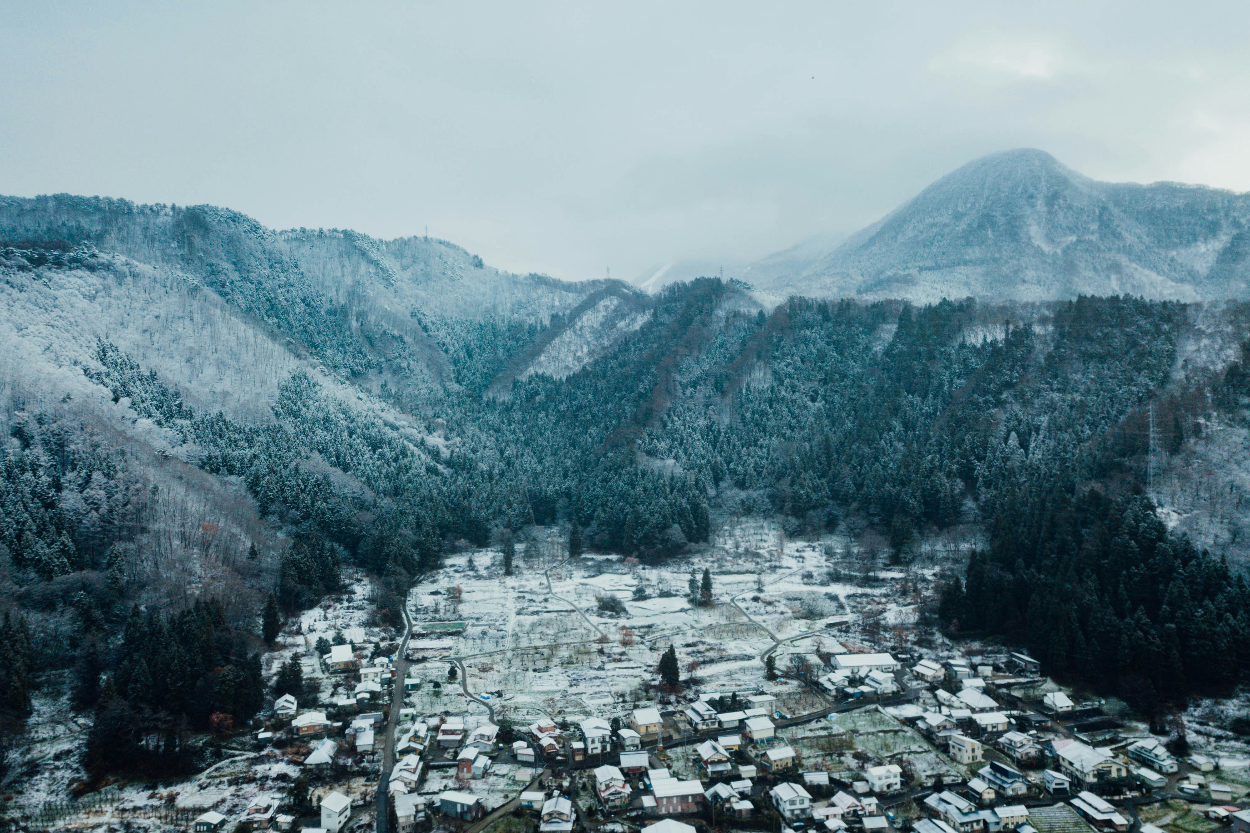 Photo by chuttersnap