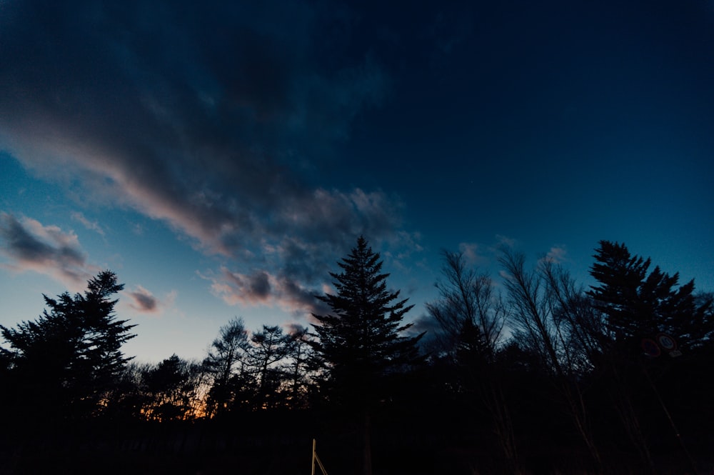 silhouette of trees under cloudy sky