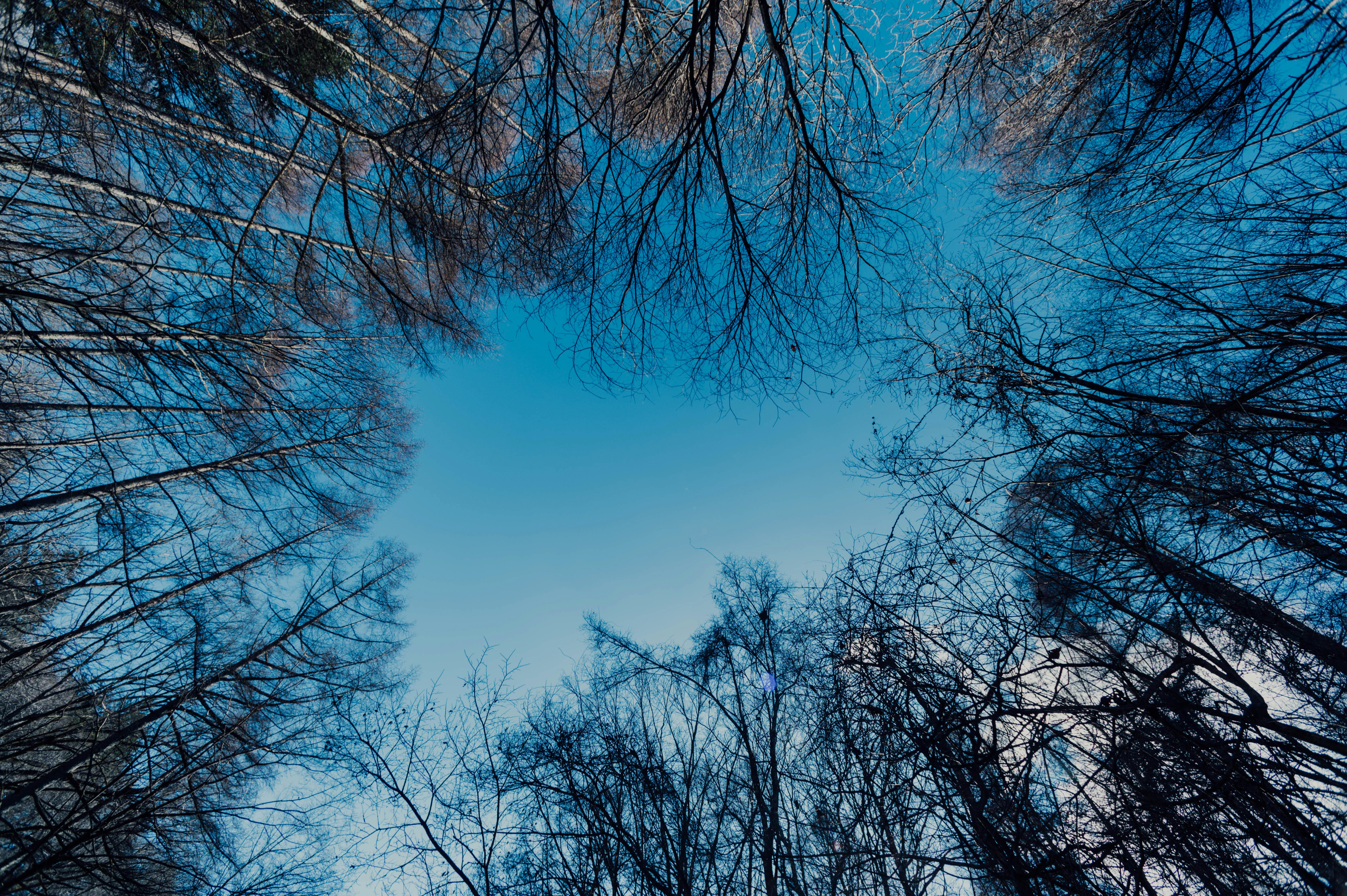 Photo by chuttersnap