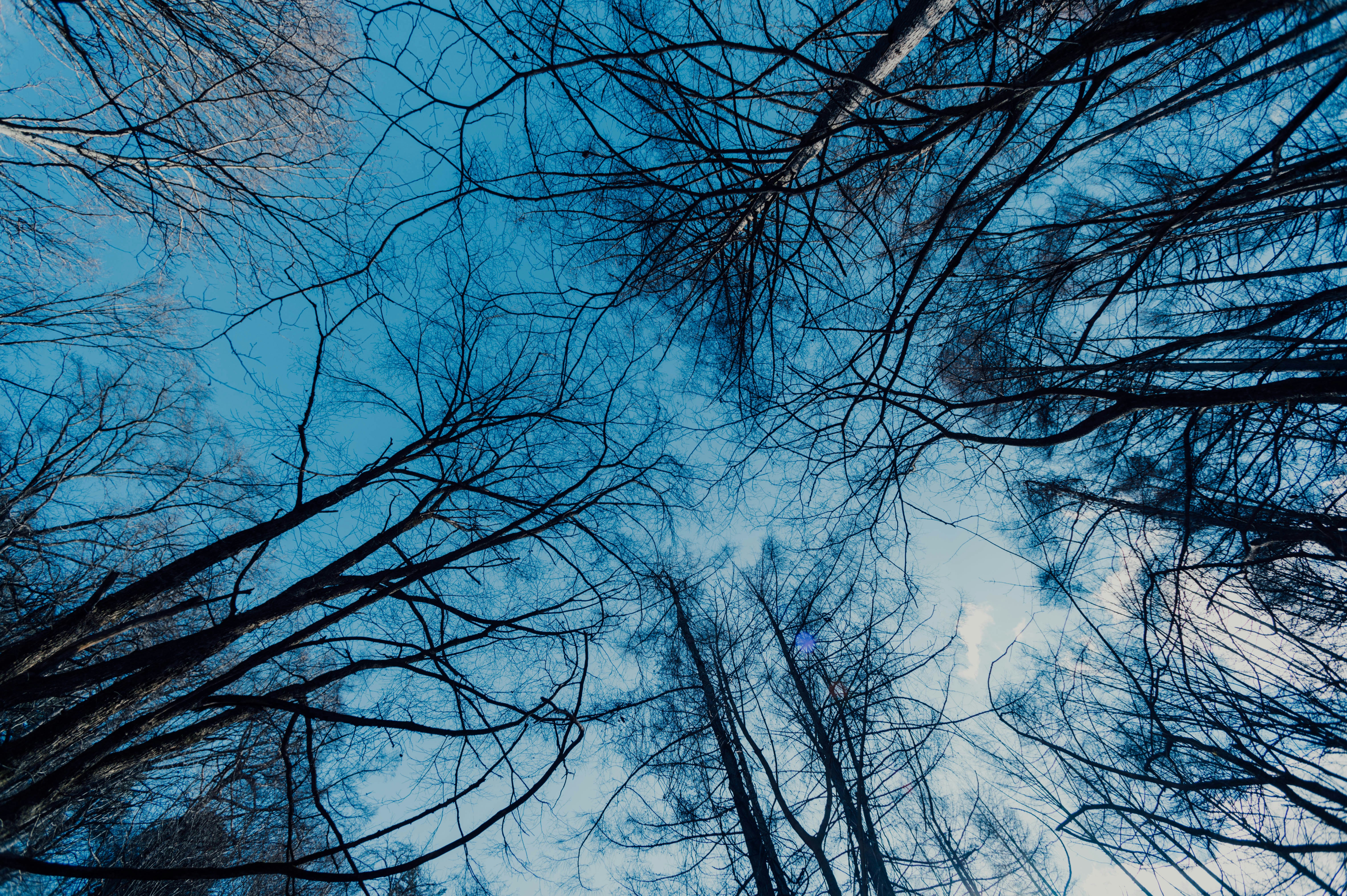 Photo by chuttersnap