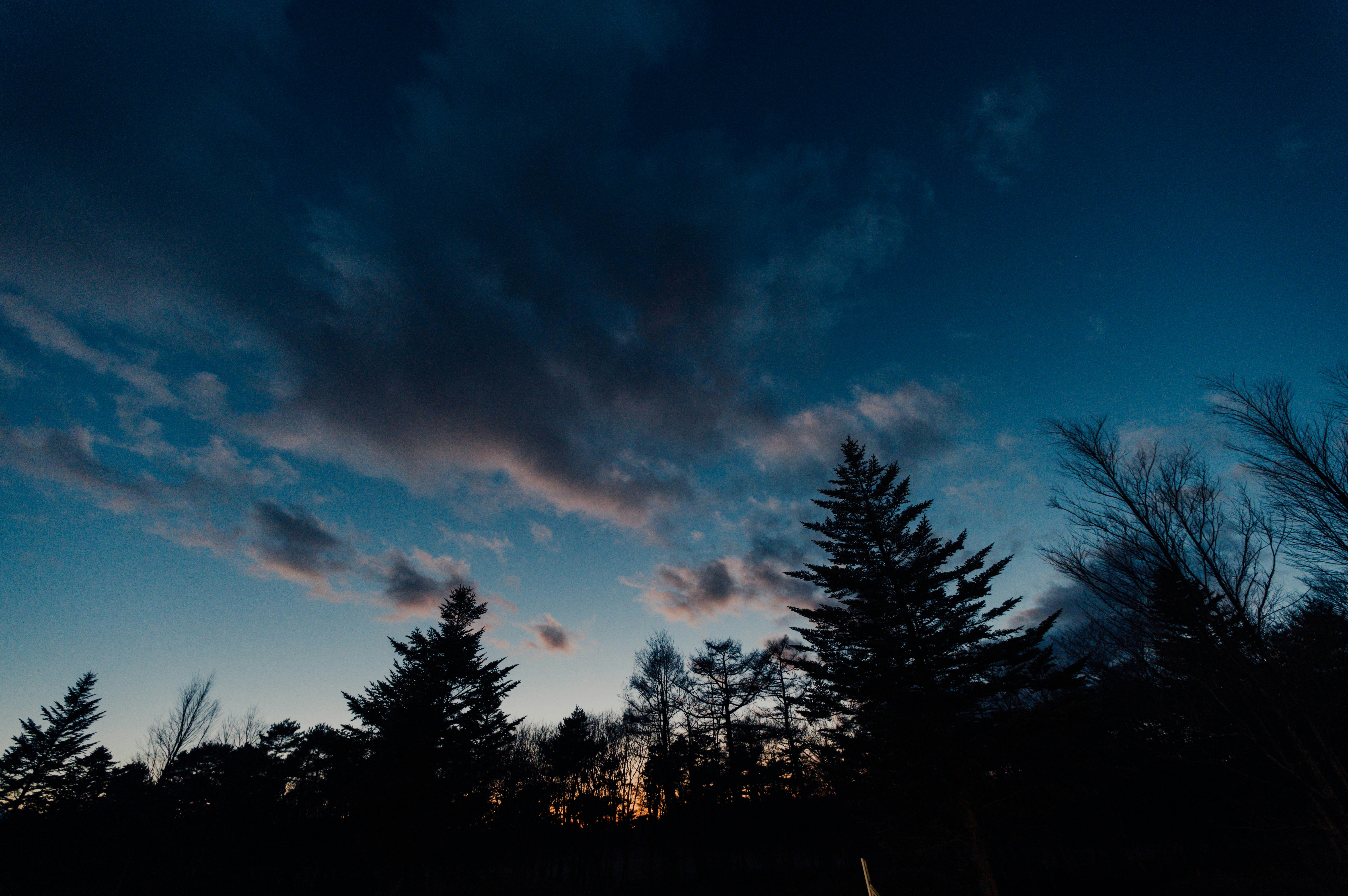 Photo by chuttersnap