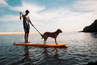 man and dog on paddleboard