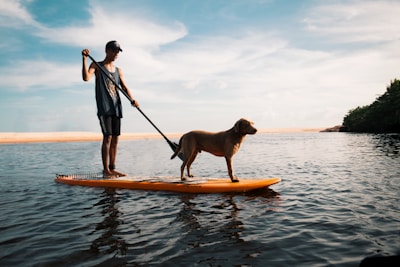 man and dog on paddleboard