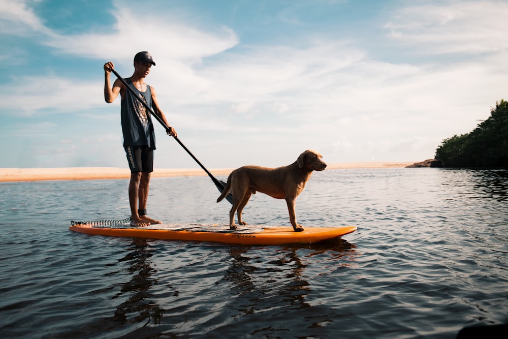 パドルボードに乗った人と犬