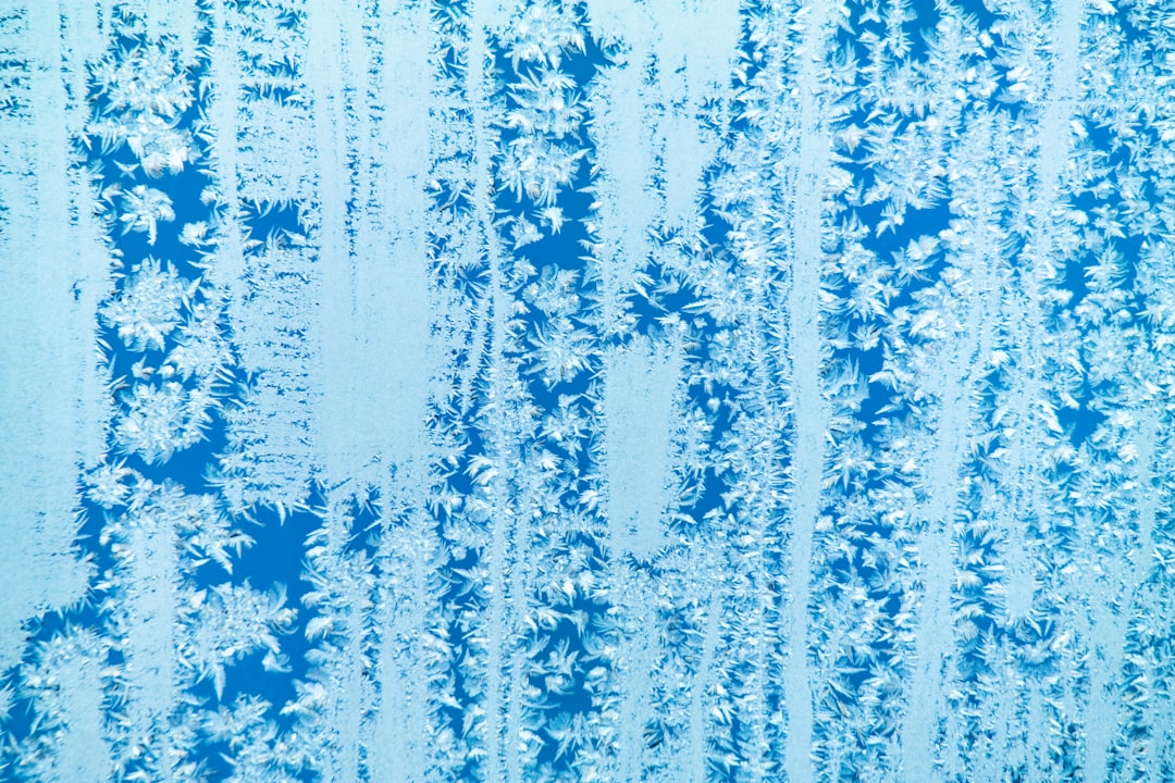 aerial photography of snow covered forest