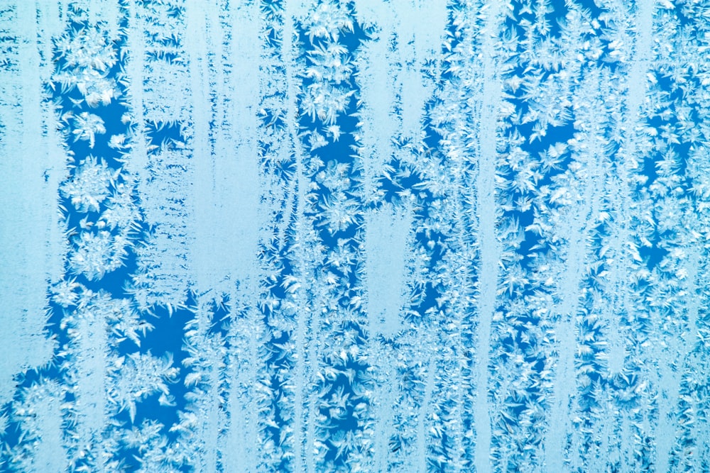 aerial photography of snow covered forest