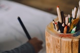 color pencils in case