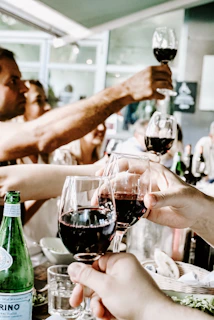 A group of friends smiling and clinking glasses of red wine inside a cozy wine cellar.