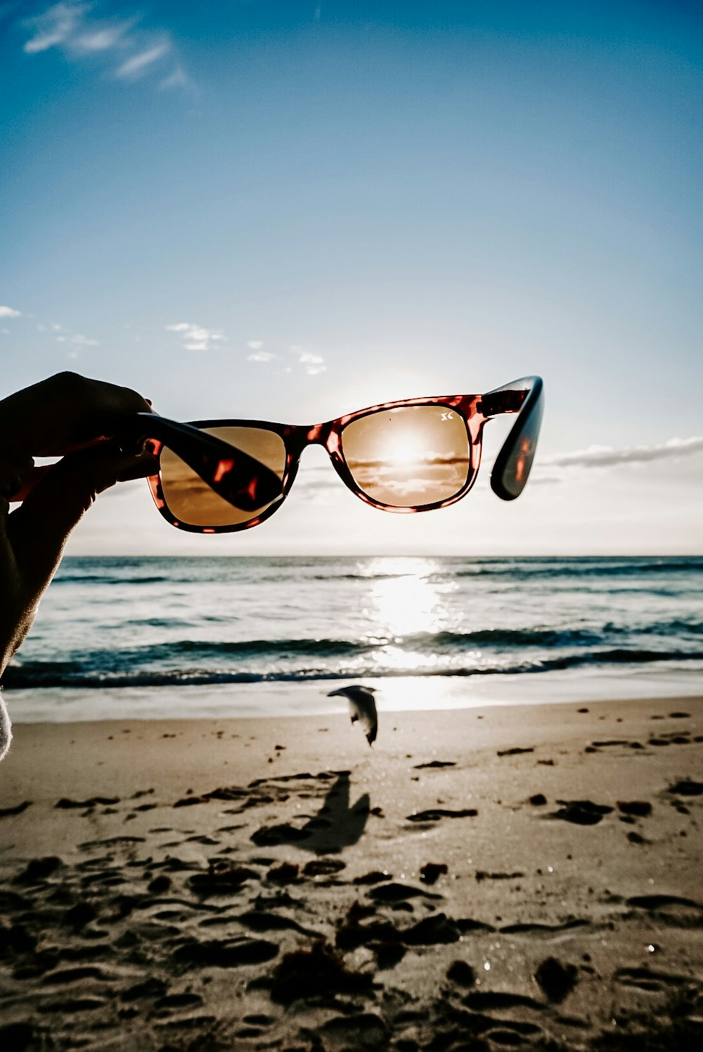 Persona che tiene occhiali da sole sulla spiaggia durante il giorno