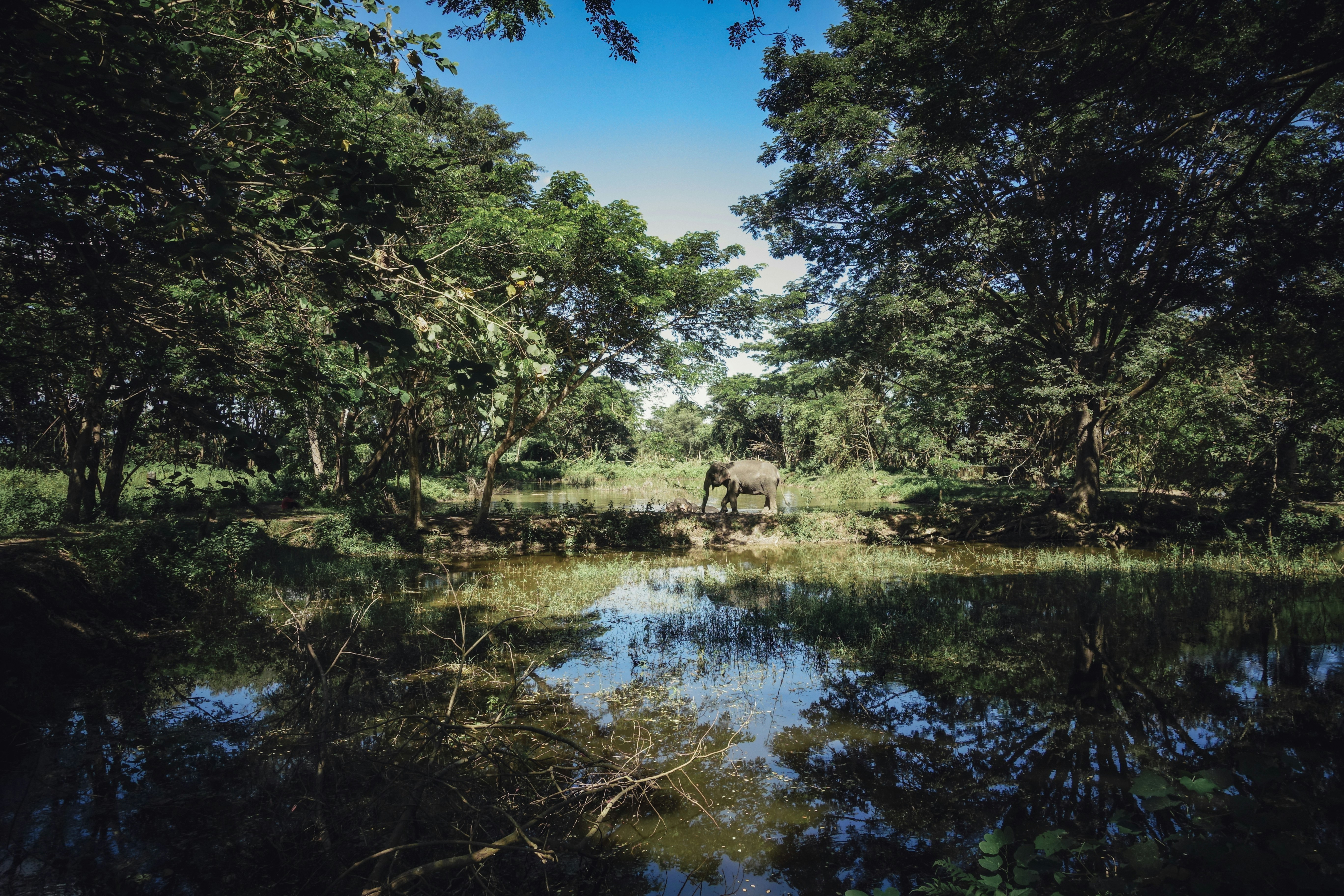 Photo by etvoilaraissa