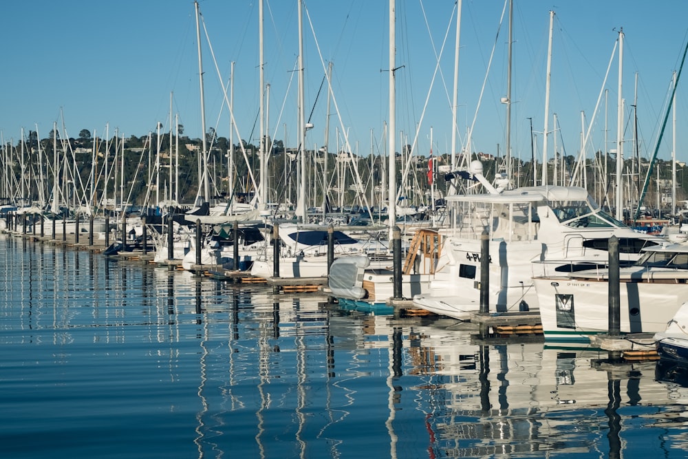 white boat docked under blue sky