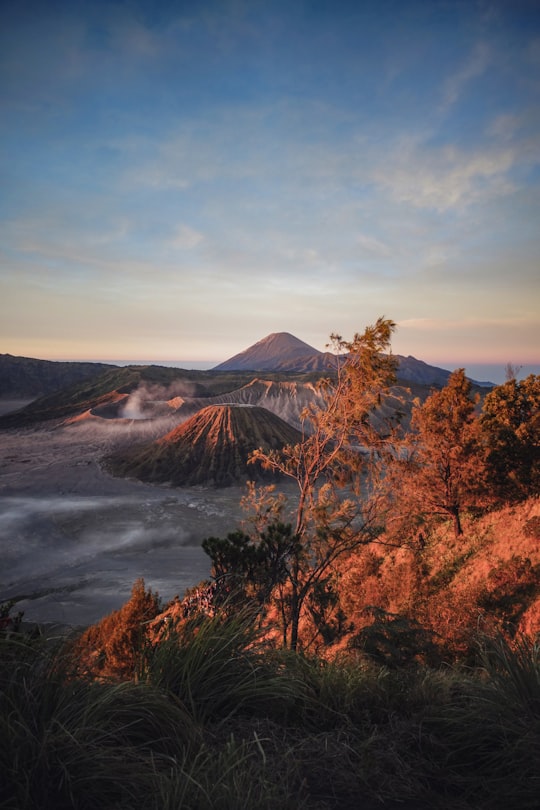 gray mountain near trees under blue sky in Bromo Tengger Semeru National Park Indonesia