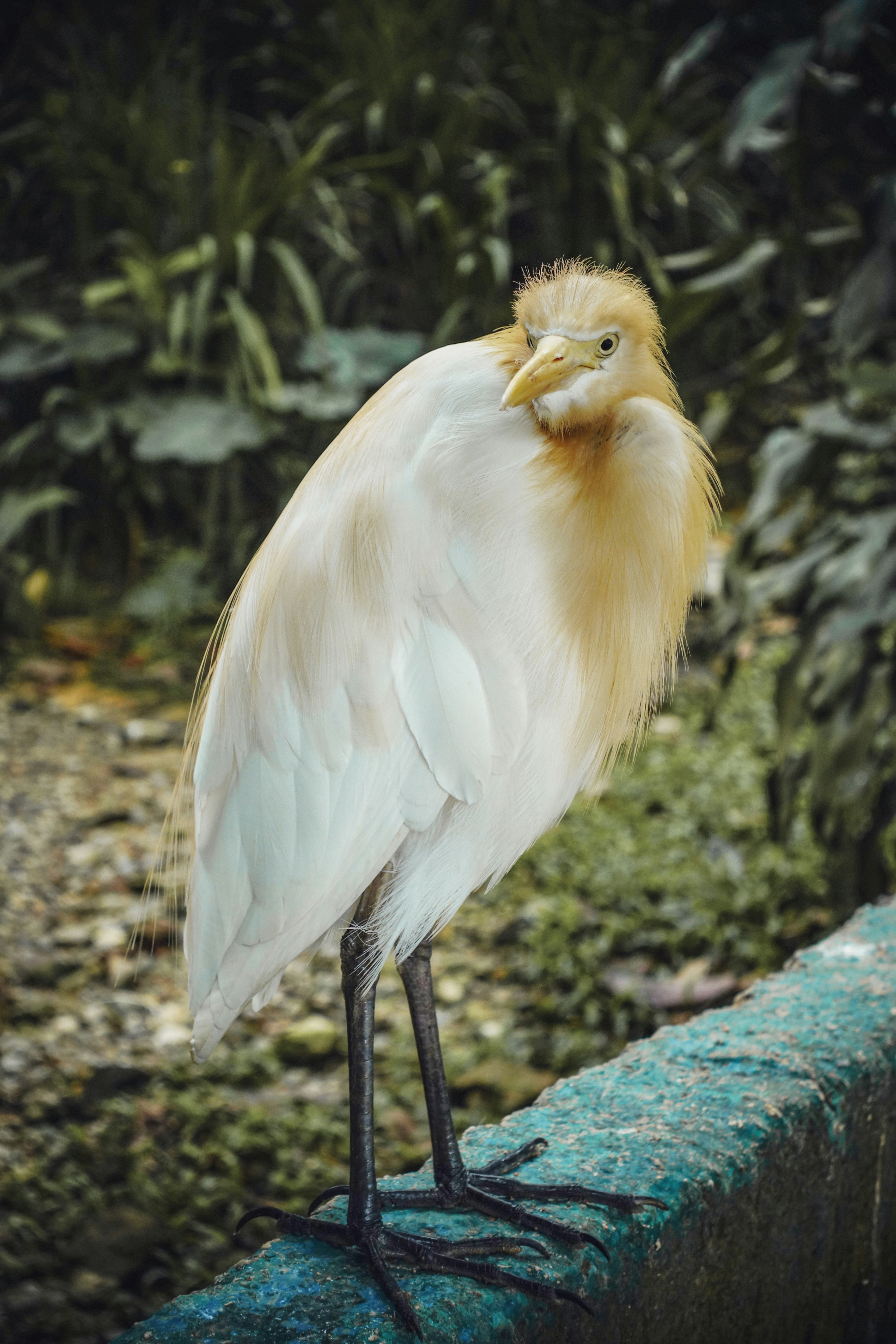 Photo by etvoilaraissa