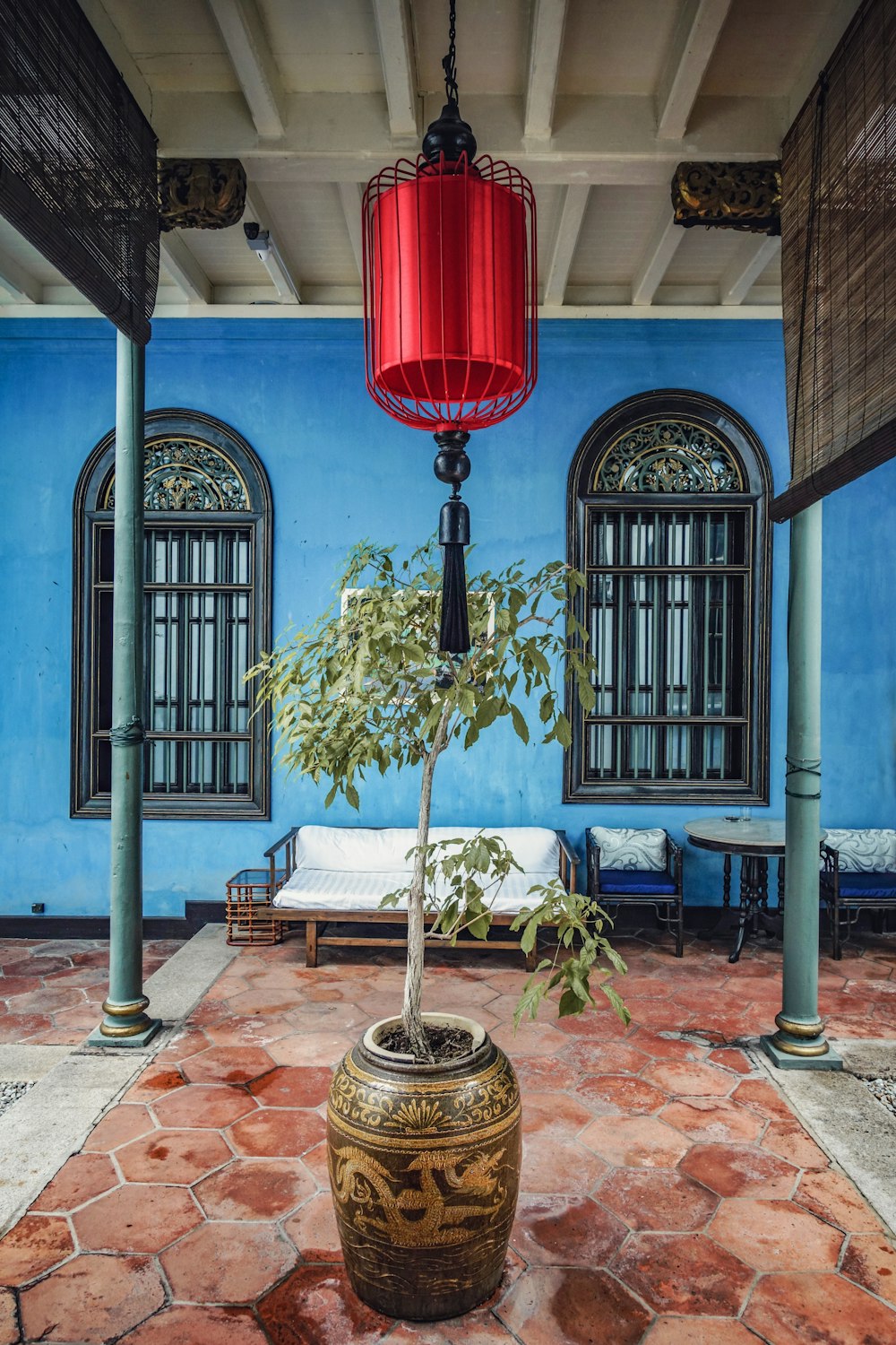 red lantern hanging near green plants