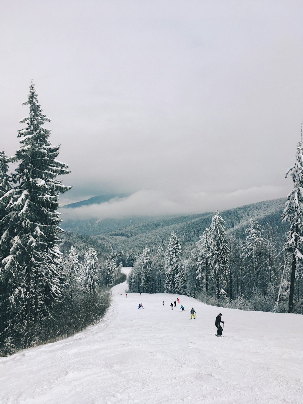 people skiing at daytime