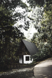 A rustic A-frame cabin is nestled among dense greenery, with a simple white base and a slanted dark roof. The surrounding trees create a shaded, tranquil environment. A small winding path leads towards the structure, flanked by lush foliage, and a wooden table sits nearby.