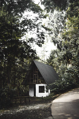 A rustic A-frame cabin is nestled among dense greenery, with a simple white base and a slanted dark roof. The surrounding trees create a shaded, tranquil environment. A small winding path leads towards the structure, flanked by lush foliage, and a wooden table sits nearby.