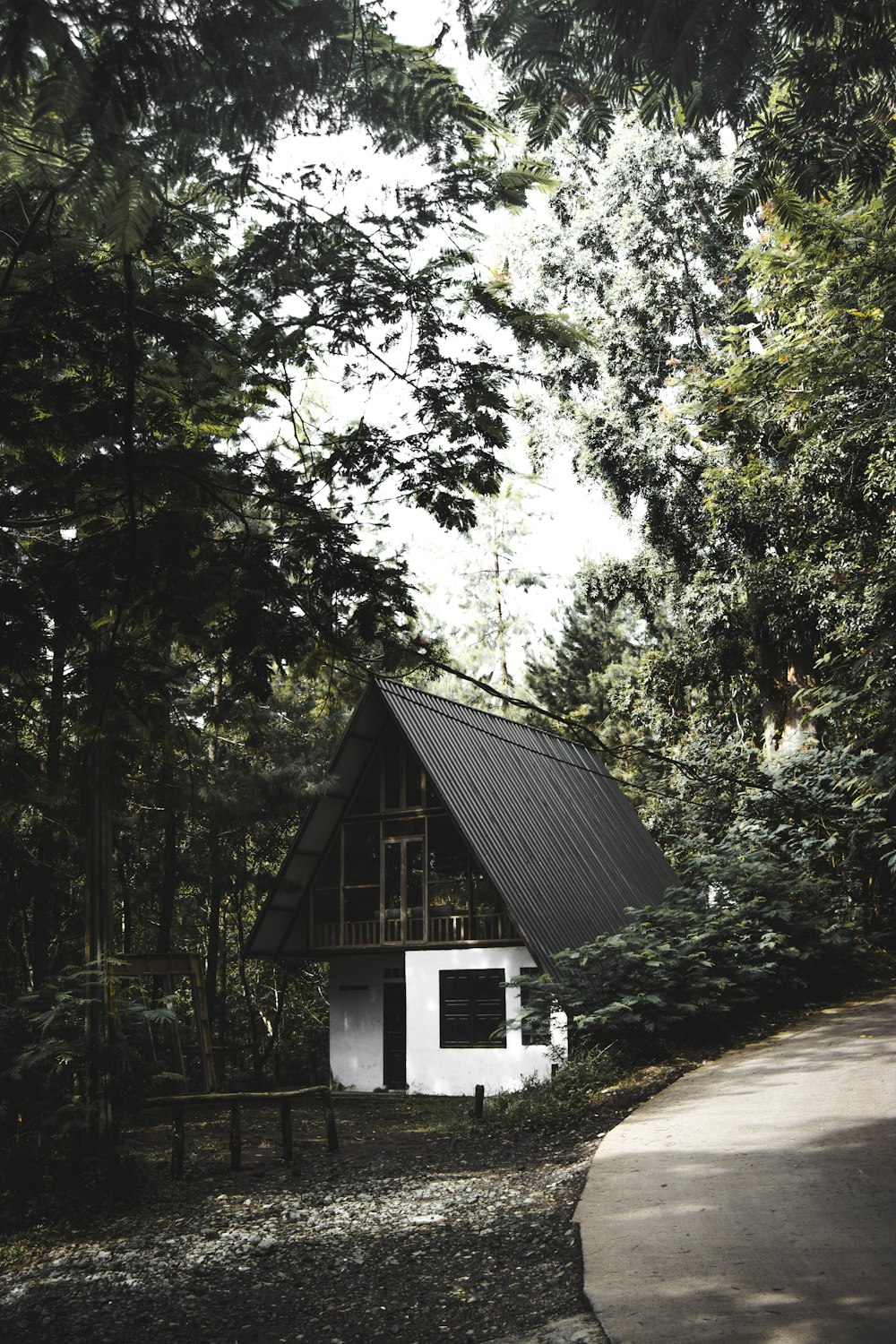 white wooden house surrounded with trees