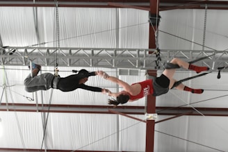 Two individuals are performing a mid-air trapeze maneuver inside a gymnasium. One person is suspended upside down, wearing a red tank top and grey shorts, reaching out to the other, who is dressed in a black shirt and grey pants with harnesses securing them to the overhead structure.