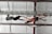 Two individuals are performing a mid-air trapeze maneuver inside a gymnasium. One person is suspended upside down, wearing a red tank top and grey shorts, reaching out to the other, who is dressed in a black shirt and grey pants with harnesses securing them to the overhead structure.