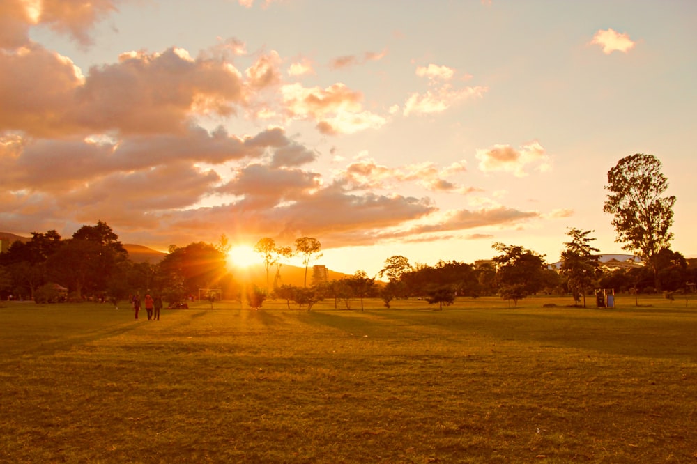 people walking on grass field during golden hour