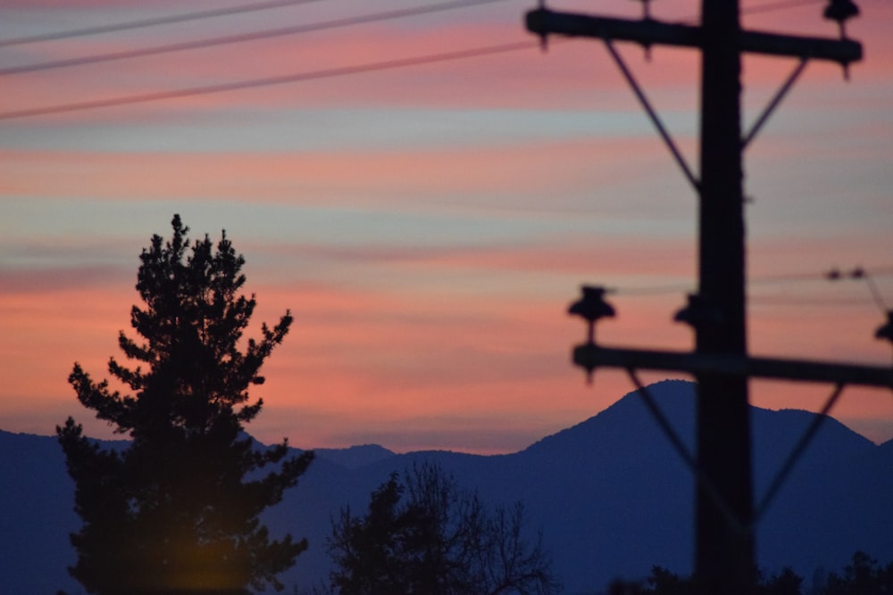 silhouette of tree and mountain