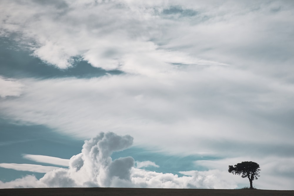a lone tree sitting on top of a hill under a cloudy sky