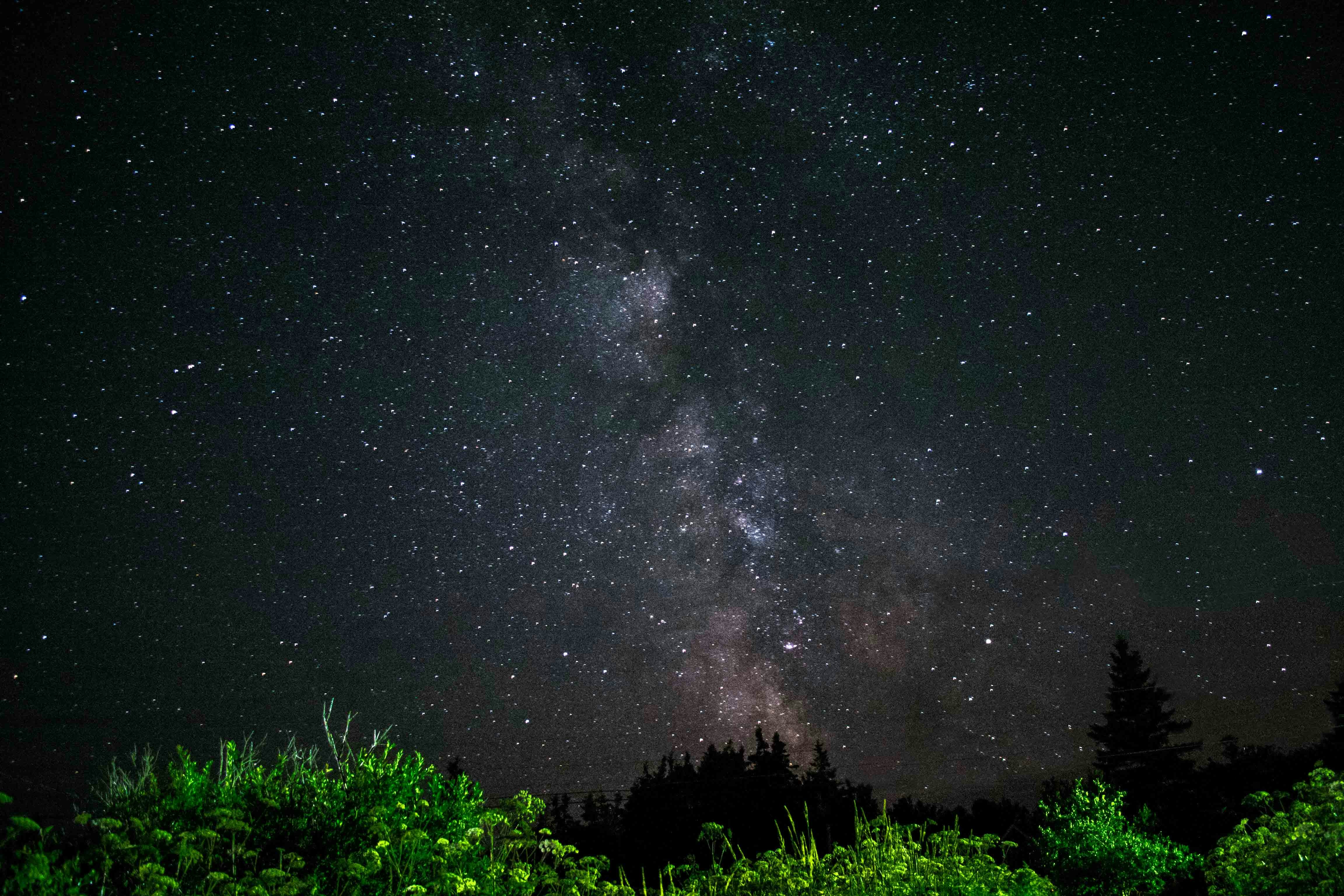 Photo by elyseturton