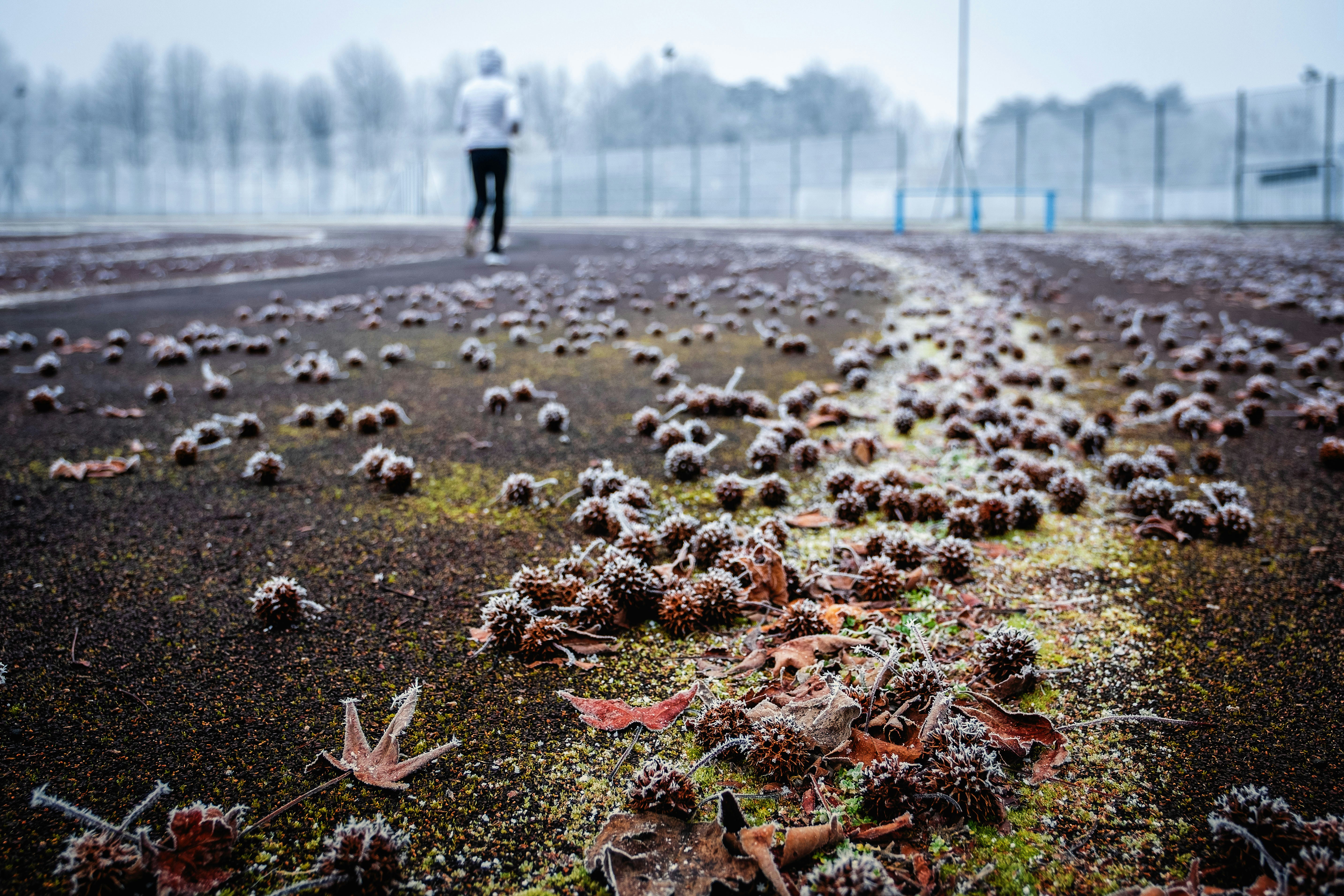 persona che cammina nel parco durante il giorno