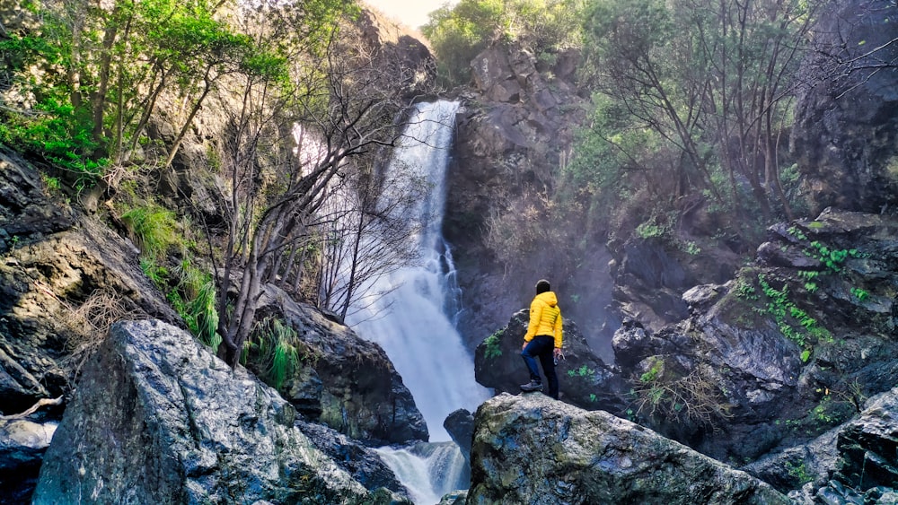 Persona in piedi sulla roccia che osserva la cascata durante il giorno