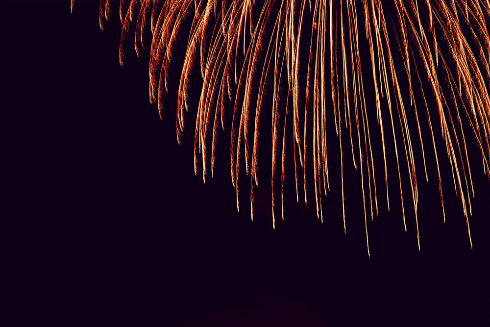 fireworks during nighttime