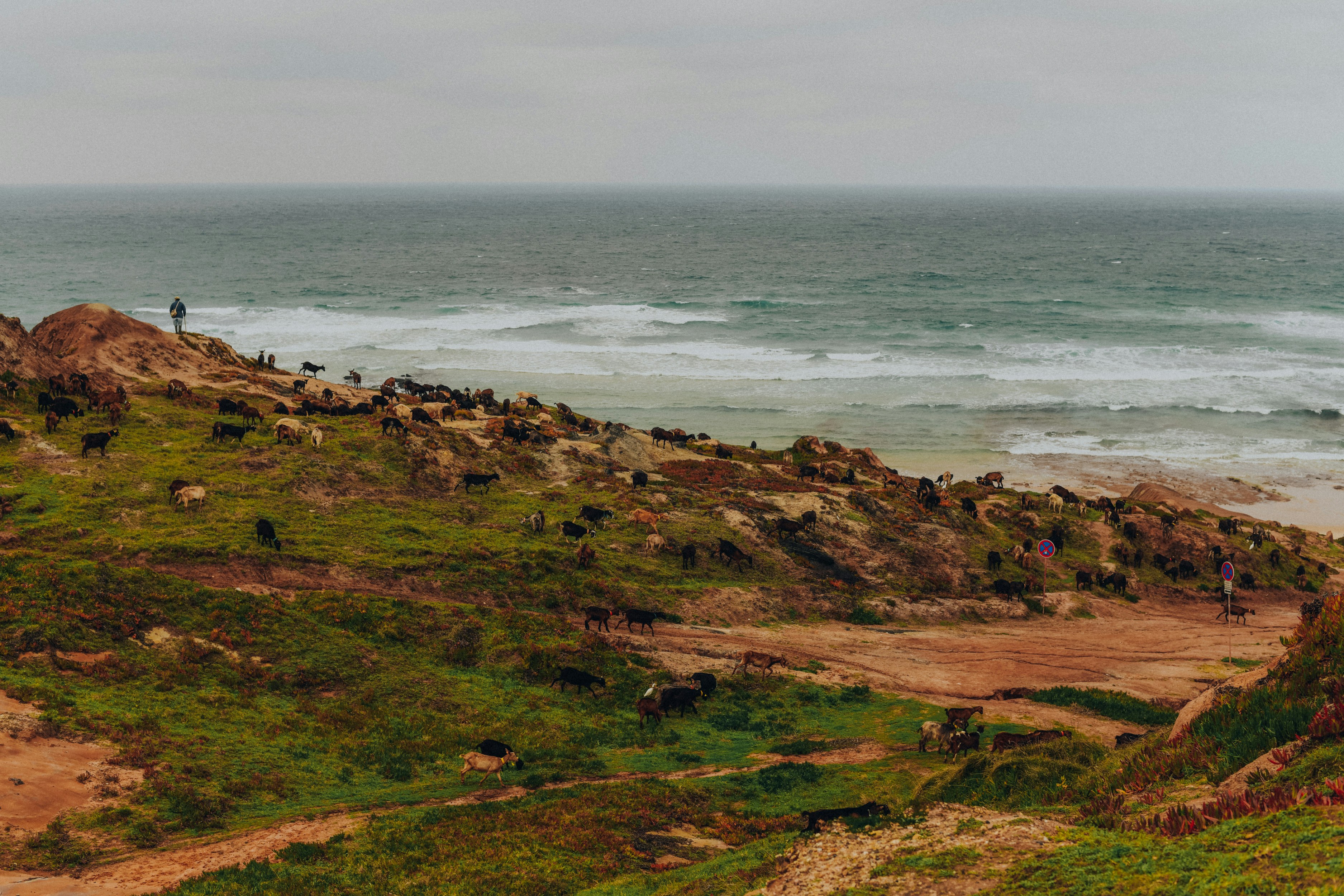 Photo by alinashchurova