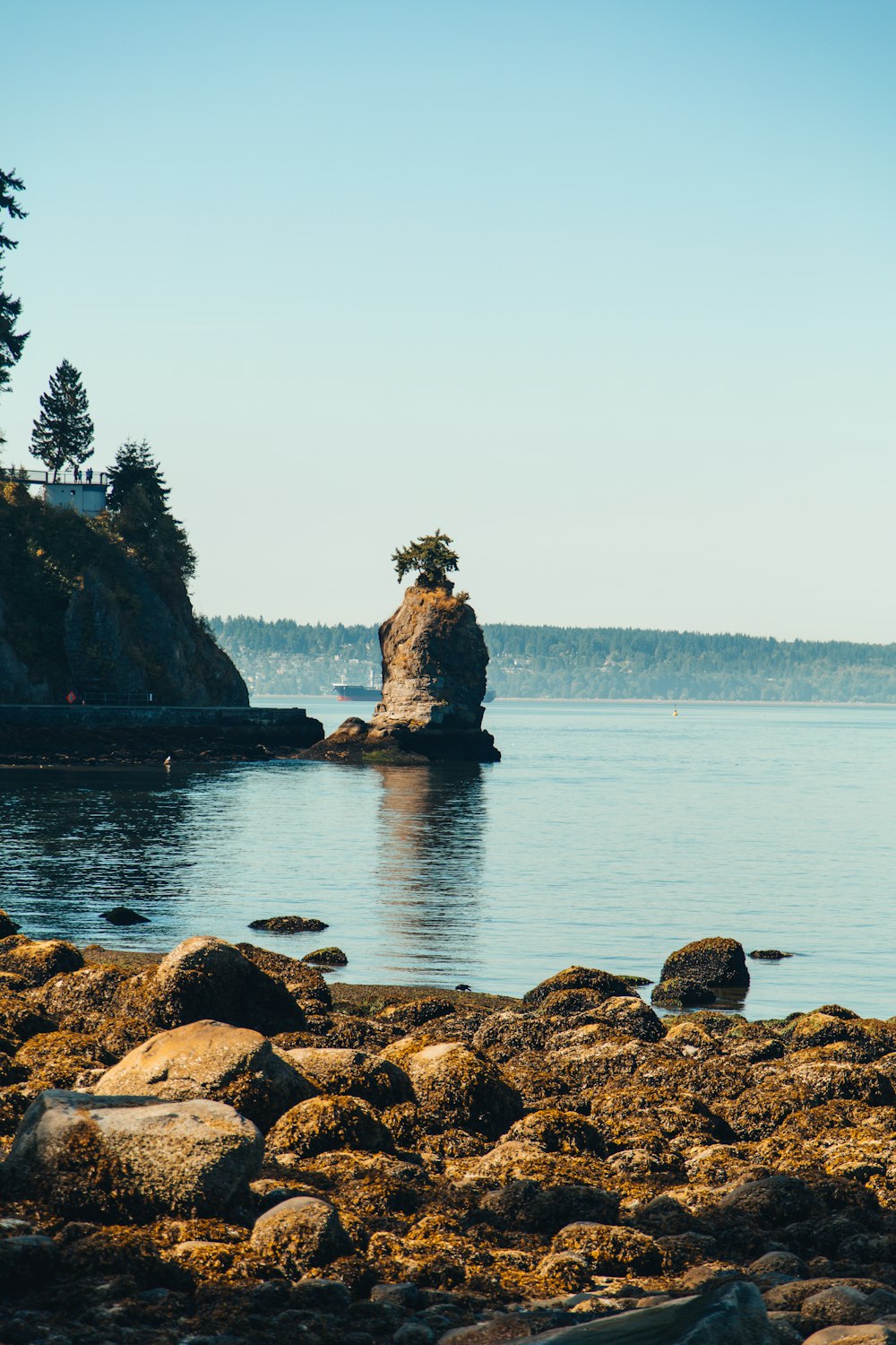 island beside cliff during daytime