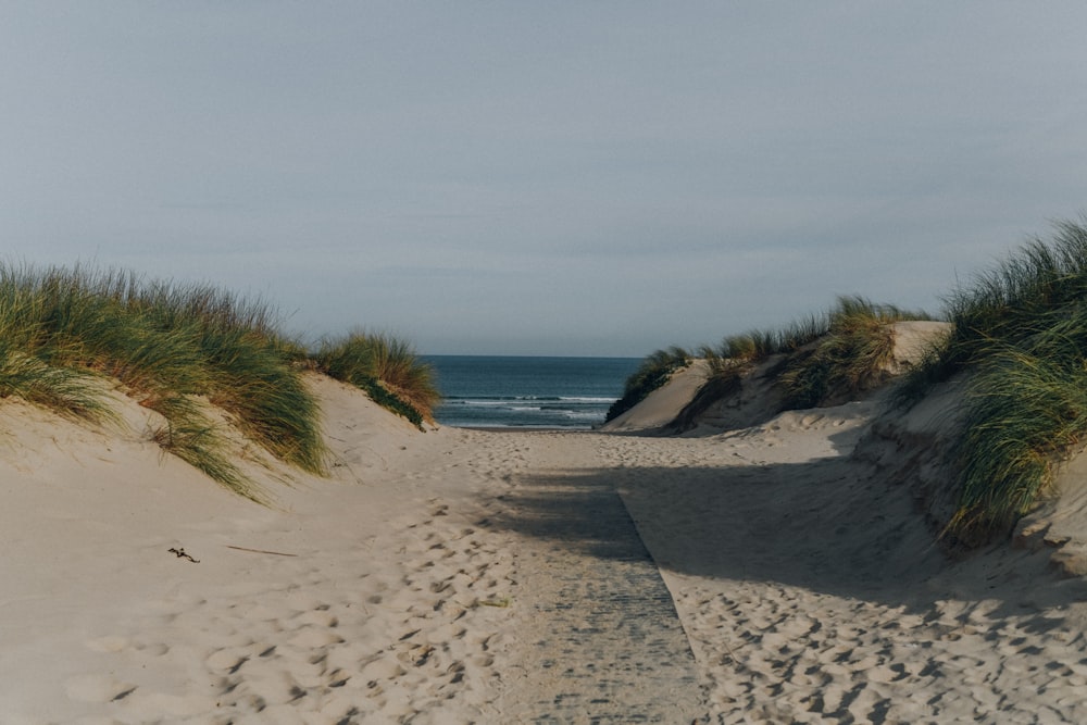 sandy path leading to the sea at the beach under grey sky