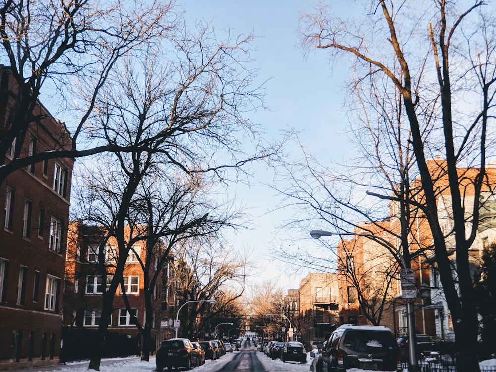 black cars parked in both side of street during winter