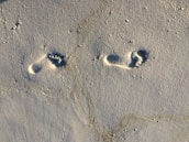 Footprints on a sandy beach, symbolizing a journey.