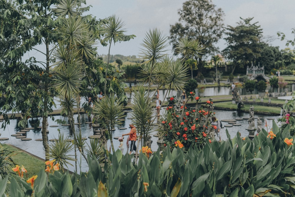 lake surrounded with flowers at daytime