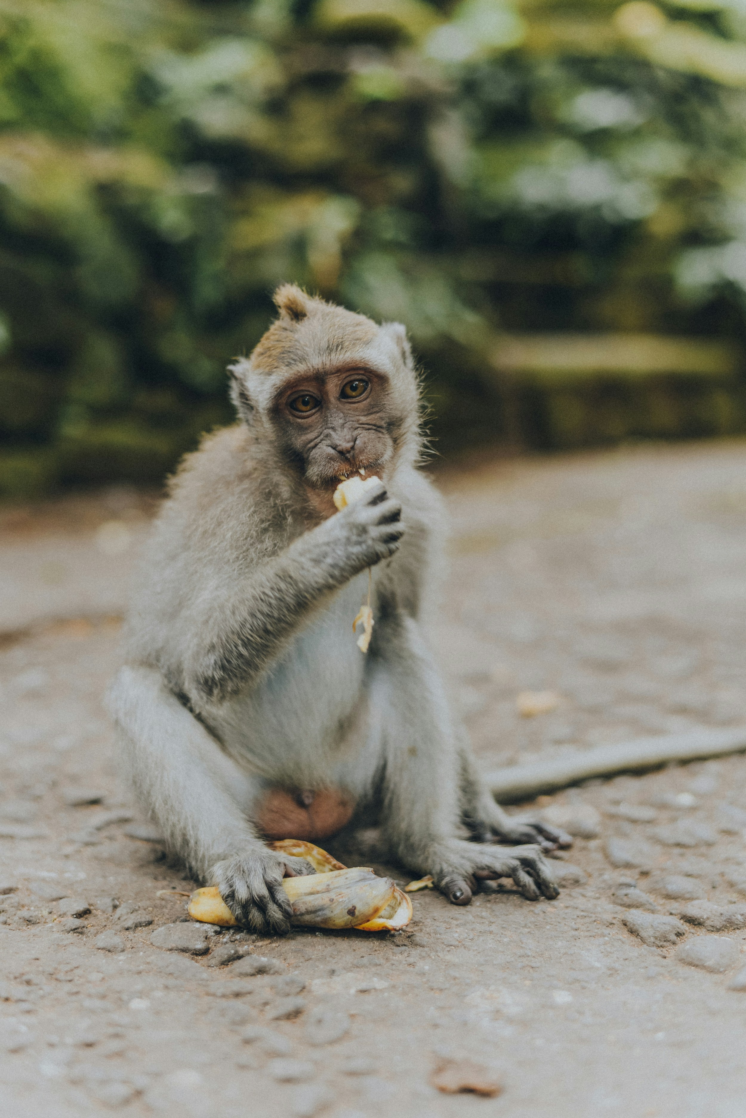 Photo by alinashchurova