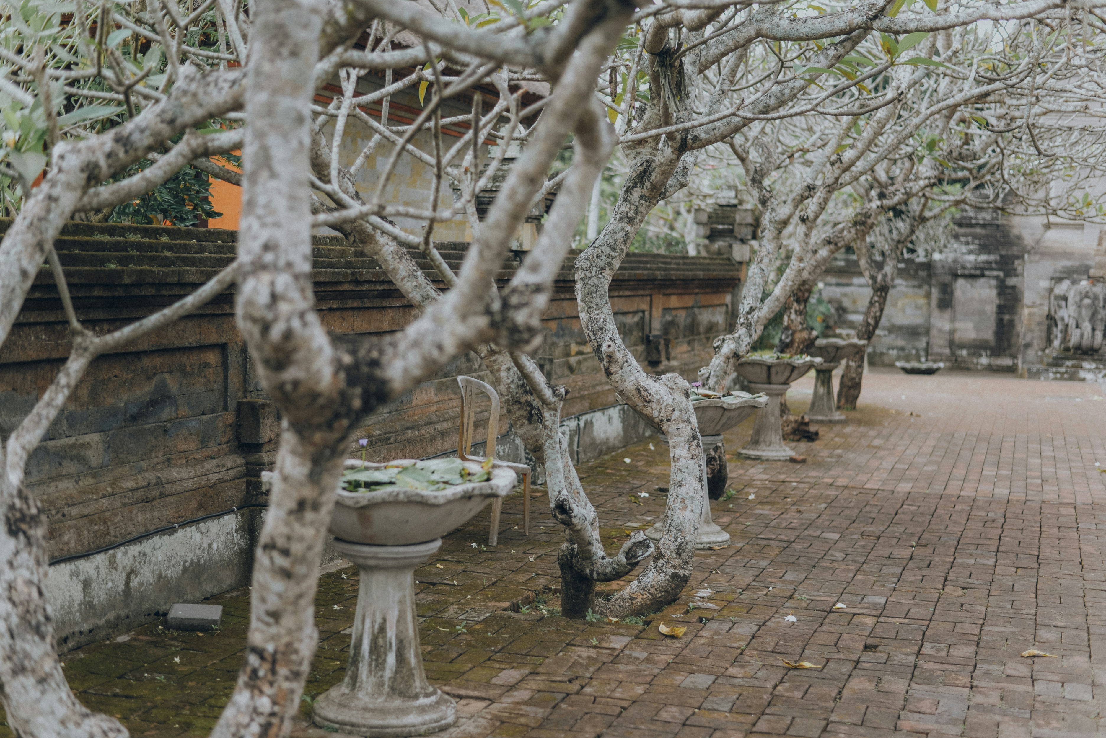 Photo by alinashchurova