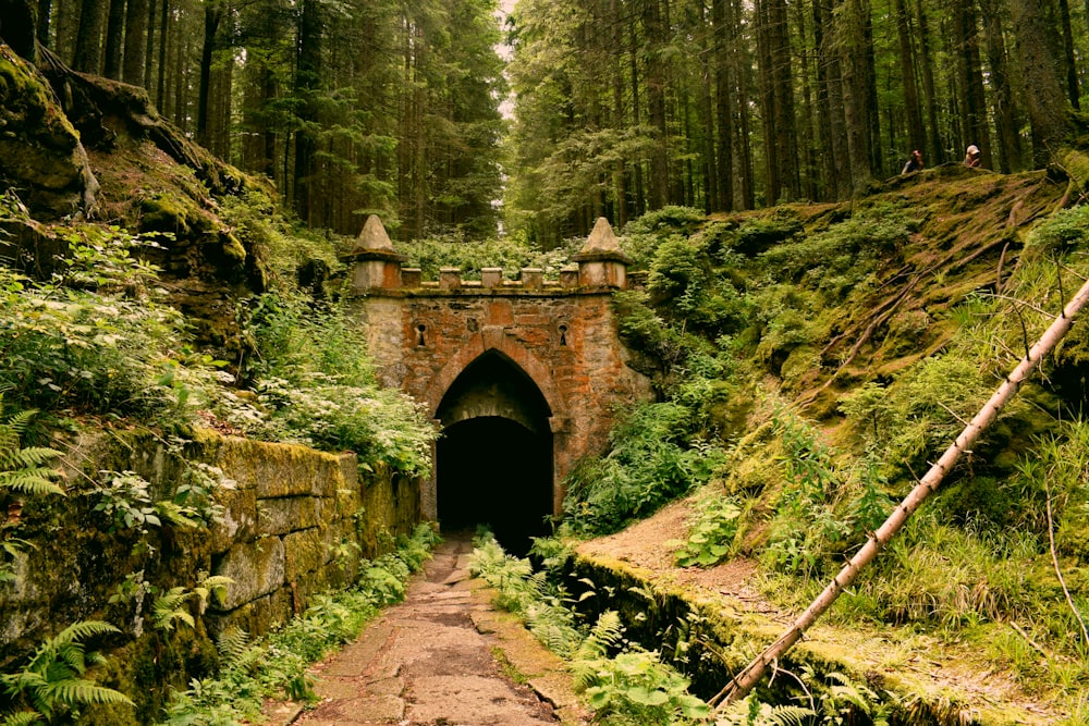 tunnel en béton gris sous des arbres verts