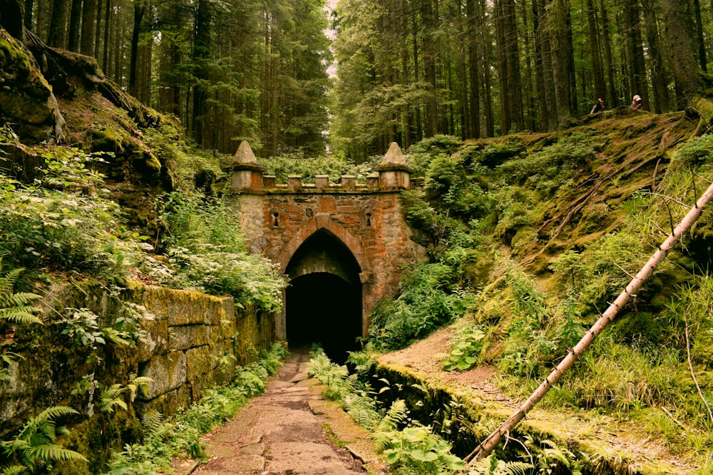 tunnel di cemento grigio sotto alberi verdi