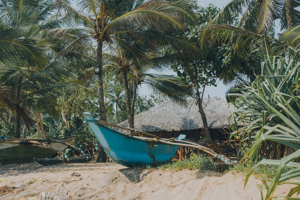 blue boat beside coconut tree during daytime