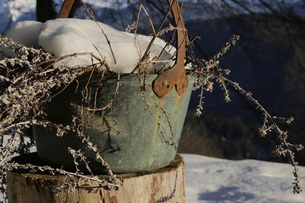 a bucket filled with snow sitting on top of a tree stump