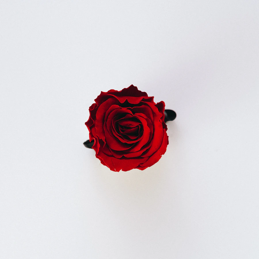 Uma Flor