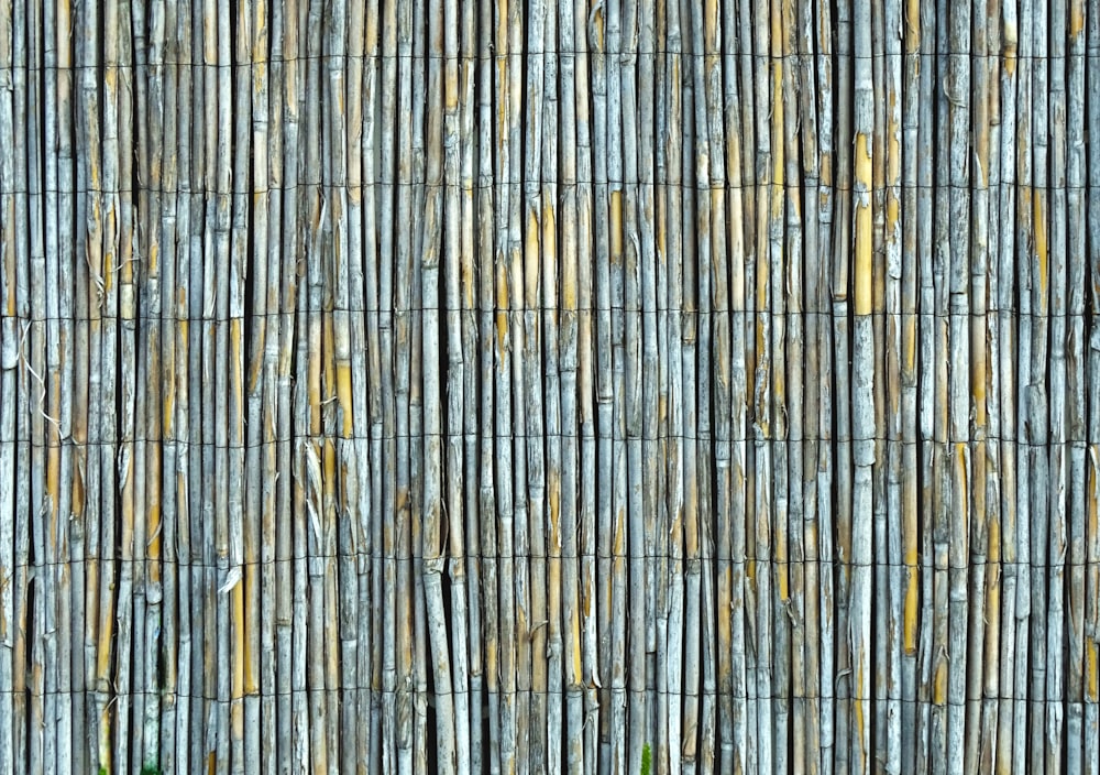 brown bamboo fence during daytime